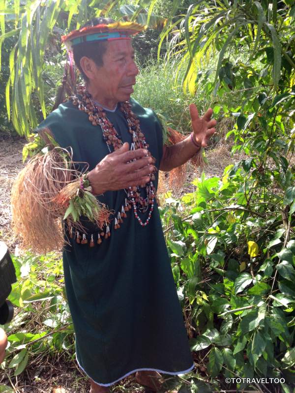 Shaman explaining the benefits of the Ayahuasca plant