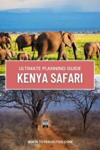 Pinterest Kenya Safari